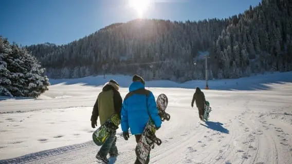 Three snowboarders walking off into the sunset towards a pine tree covered slope